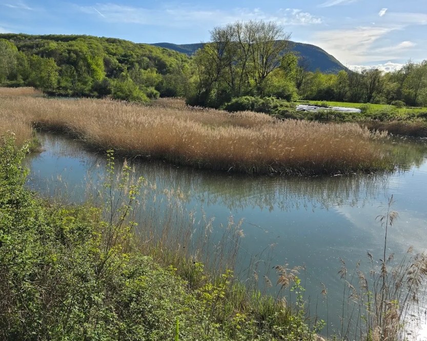marais de l'étournel Pougny